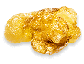 Boswellia serrata